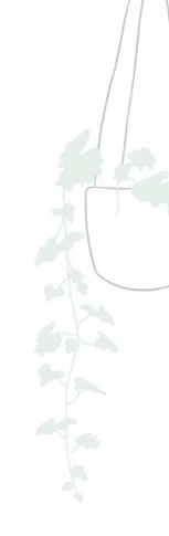 sfsfasfdsaf 2 e1761371190728