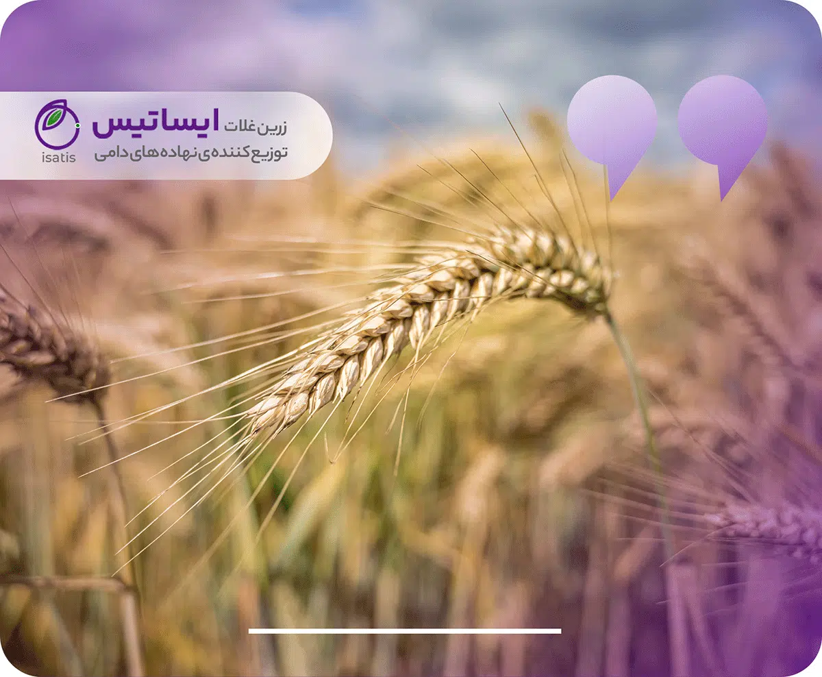 Barley in the Iranian animal feed market