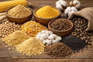 کنجاله چیست و چه کاربردی در خوراک دام دارد
