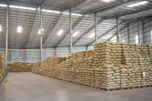 سویا یک گیاه حبوباتی است که ارزش غذایی آن بهخاطر درصد بالای پروتئین و اسیدهای آمینه مفید، بسیار بالا است.