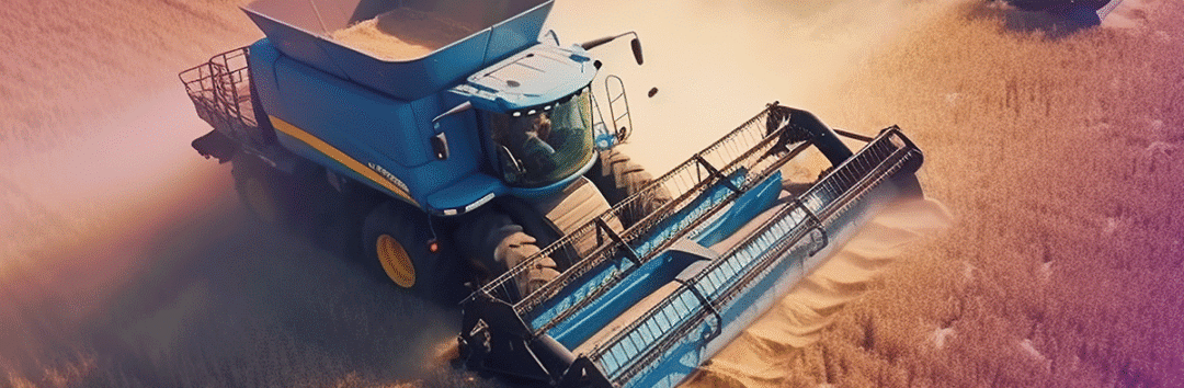 تفاوت جو دامی و جو خوراکی