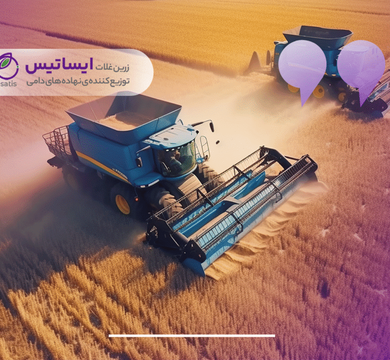 تفاوت جو دامی و جو خوراکی