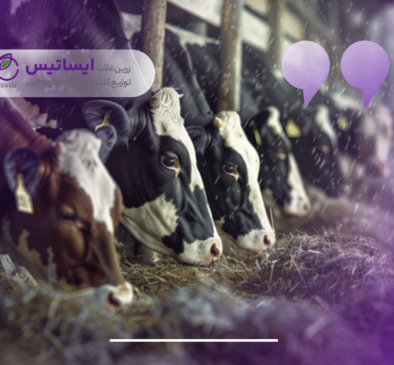 خوراک دام چیست