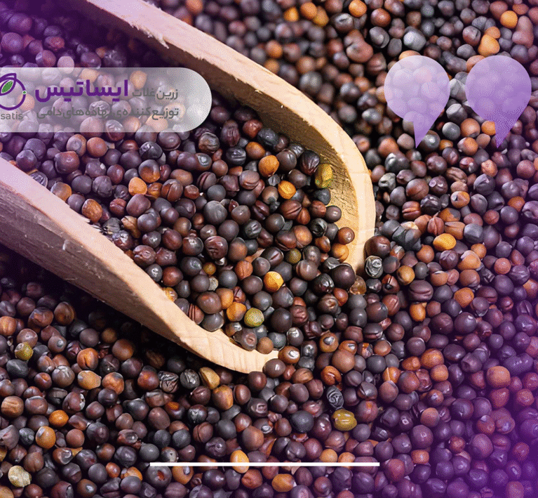 کنجاله کلزا چیست؟