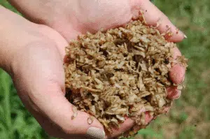خواص تفاله چغندر برای اسب