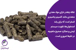 تفاله چغندر قند
